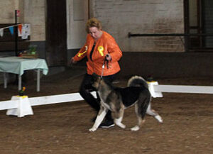 Diamond Lesli DLYA Donskoy Liberii 5