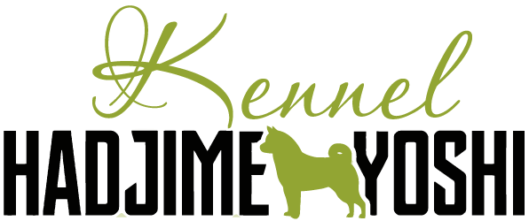 Kennel Hadjime – Yoshi met ( American ) Akita’s en de Thai Bangkaew Dog