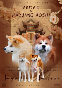 Minako Yume Go of Hadjime Yoshi 4