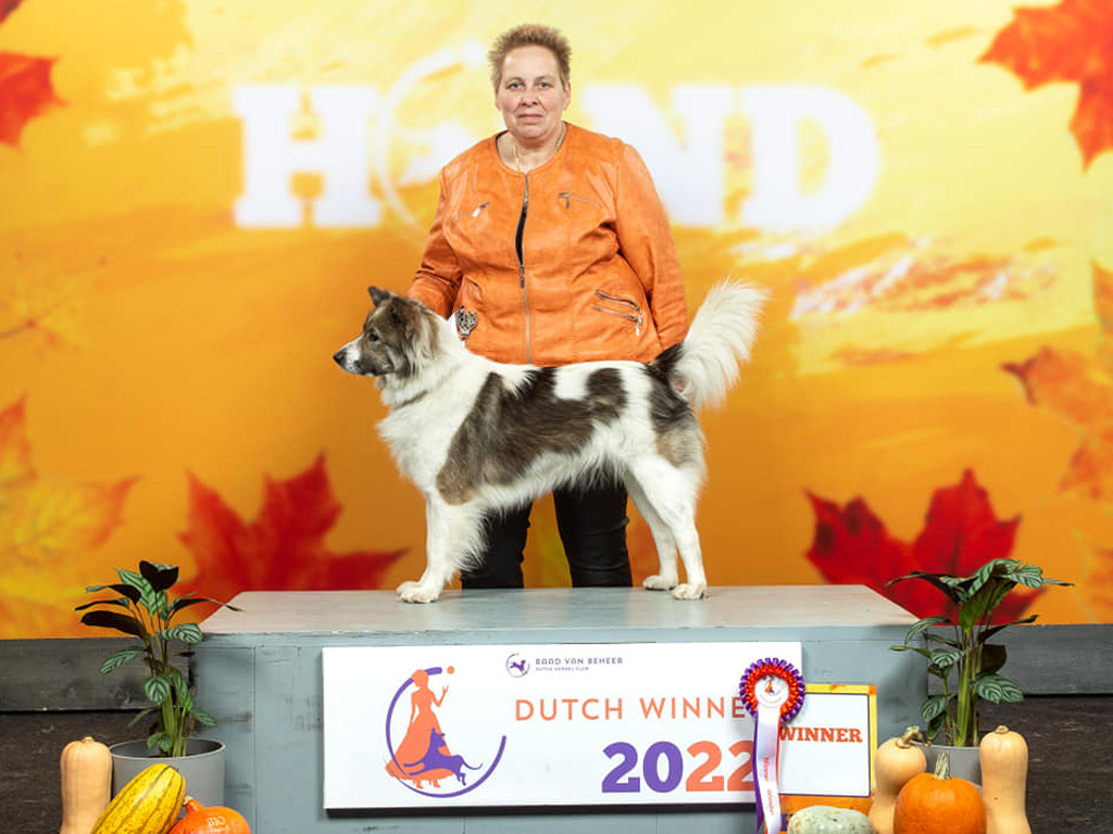 yindeewinster2022web