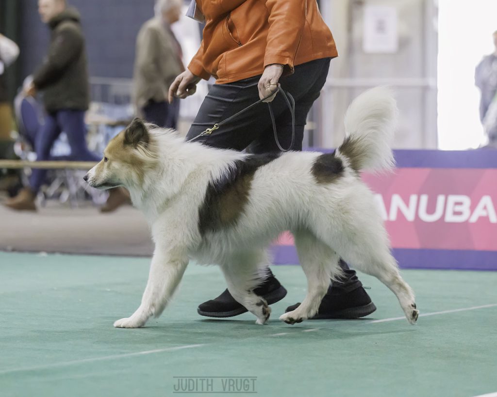 gokuwinner2023f1ws