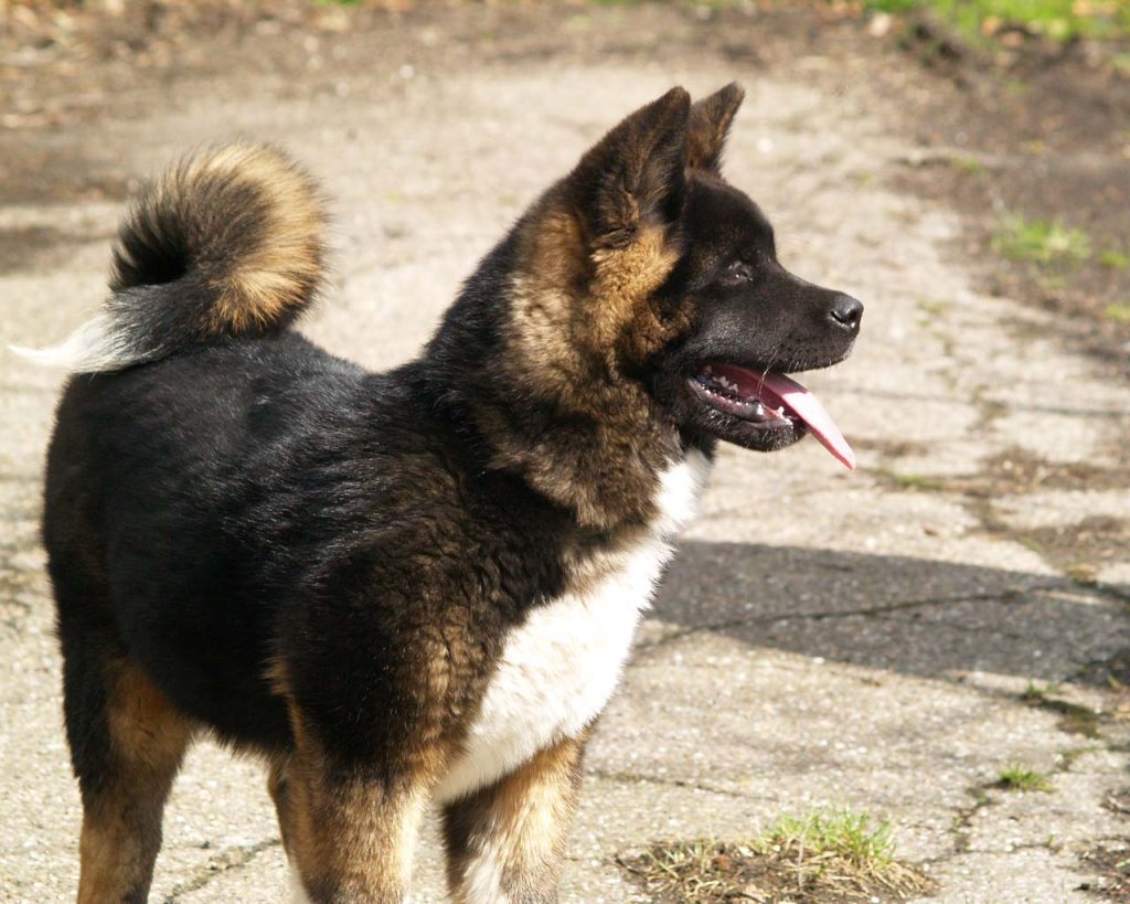 missy45mndws1
