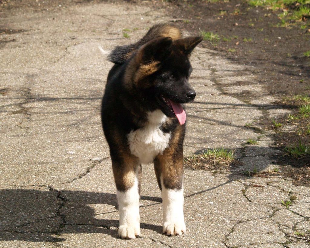 missy45mndws2