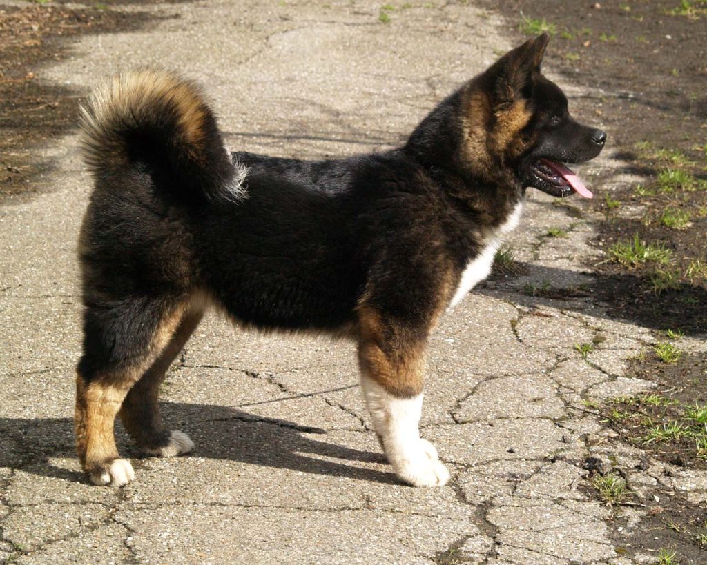 missy45mndws3