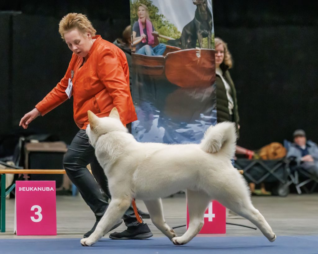 sjakieshowgroningen2024f1