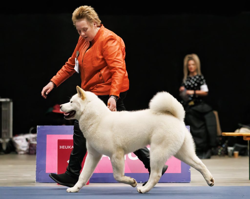 sjakieshowgroningen2024f2
