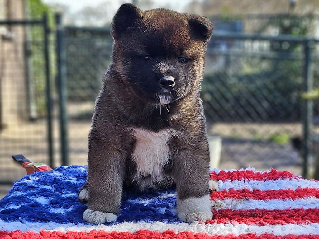 missyteef5wk2024f2ws