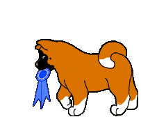 AORF akitaribbon1 1