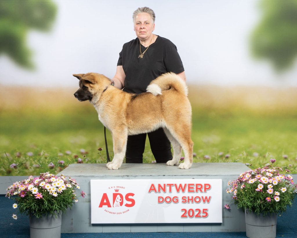 ranashowantwerpen2025f1ws