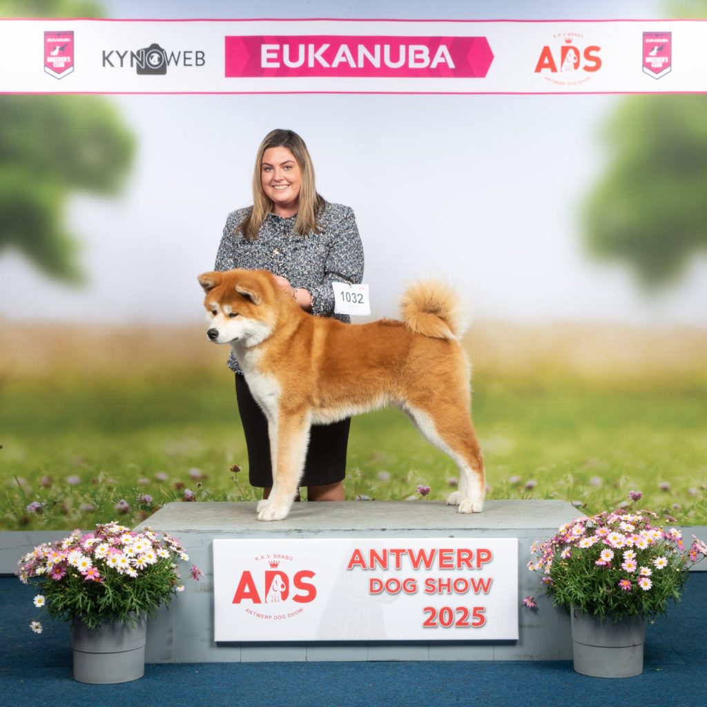 yamashowantwerpen2025f1
