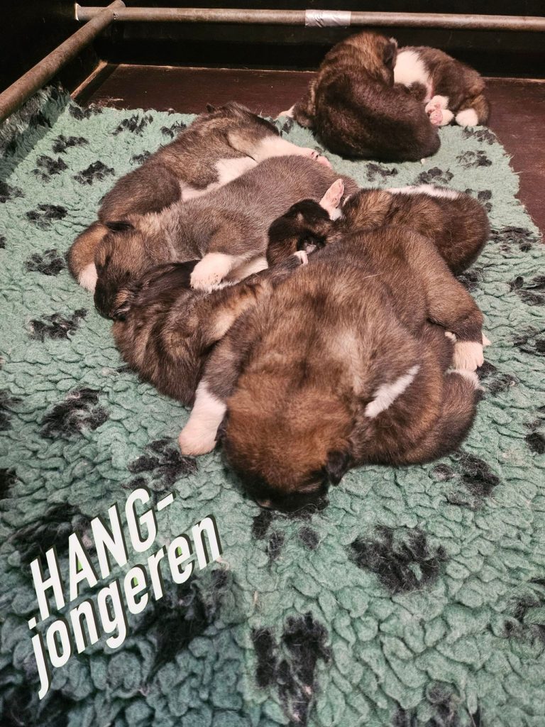 happypuppenf4ws