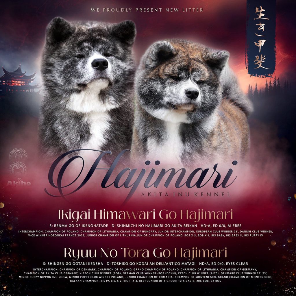 ouders miyagi