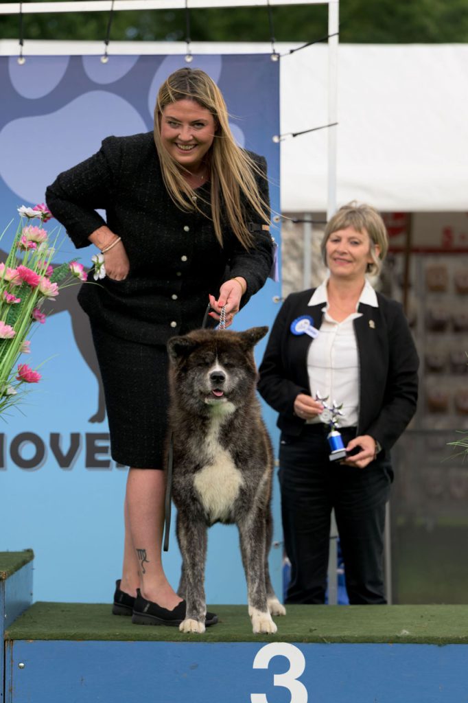 Dogshow Eindhoven Saturday