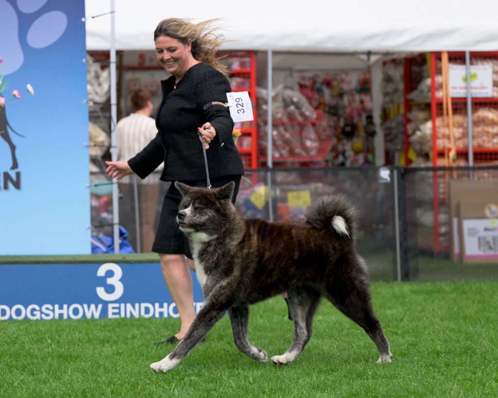 Dogshow Eindhoven Saturday 0408ws